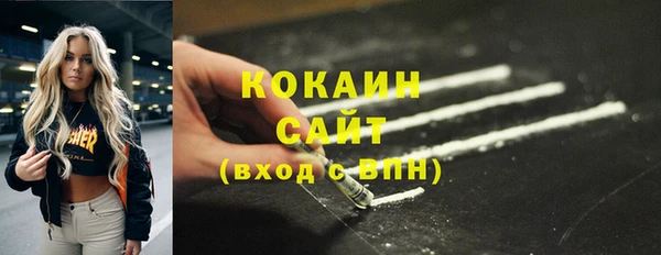 молекула духа Магадан