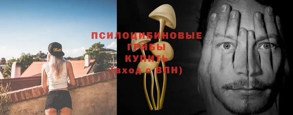 гидропоника Магас