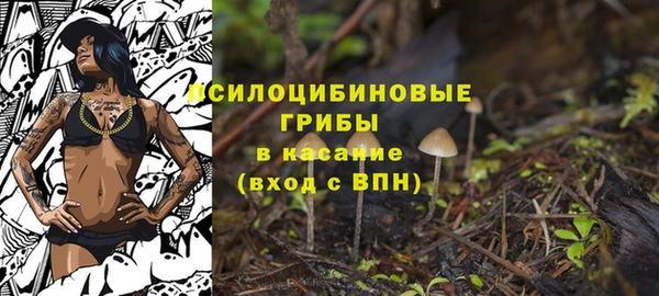 гидропоника Магас