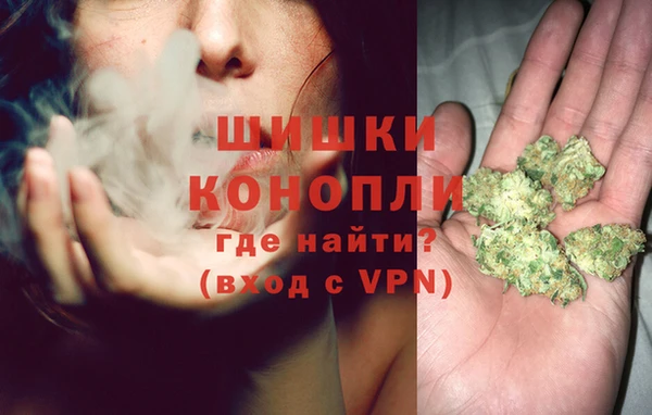 молекула духа Магадан