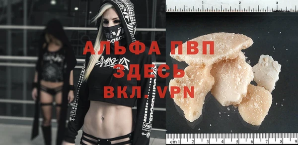 молекула духа Магадан