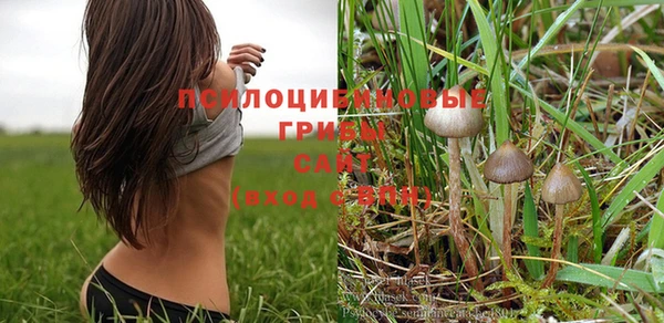 молекула духа Магадан